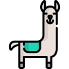 llama